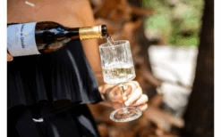 Berger Weinglas 2er Set 6 Berger Weinglas 2er Set -Berger 594239 4331207