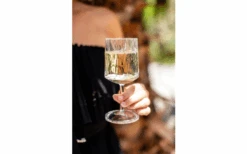 Berger Weinglas 2er Set 7 Berger Weinglas 2er Set -Berger 690069 4697631